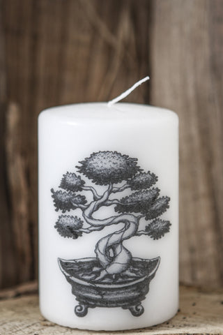 Meditation Candle: Bonsai Love